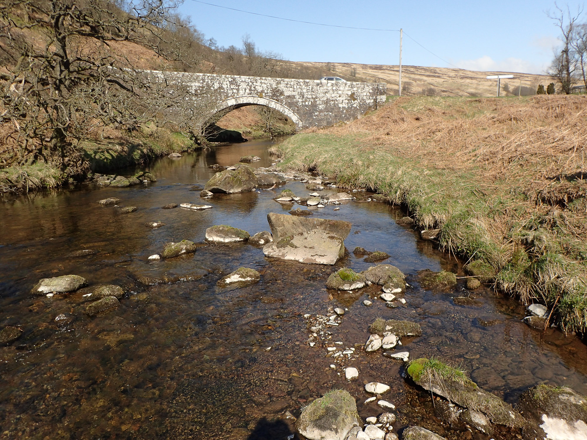 South West Scotland Group: Tarras Valley Reserve - British Bryological ...