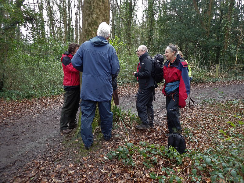 NWNFPG: Treborth Botanic Gardens - British Bryological Society